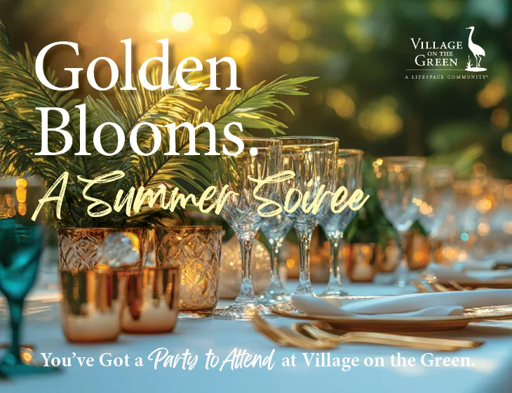 emailHeader_VOTG_IL_SUMMERSOIREE_202606