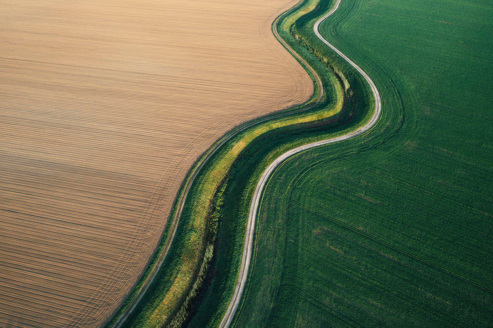 road bisecting green and brown fields