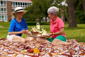 April-Article-2-Village-on-the-Green